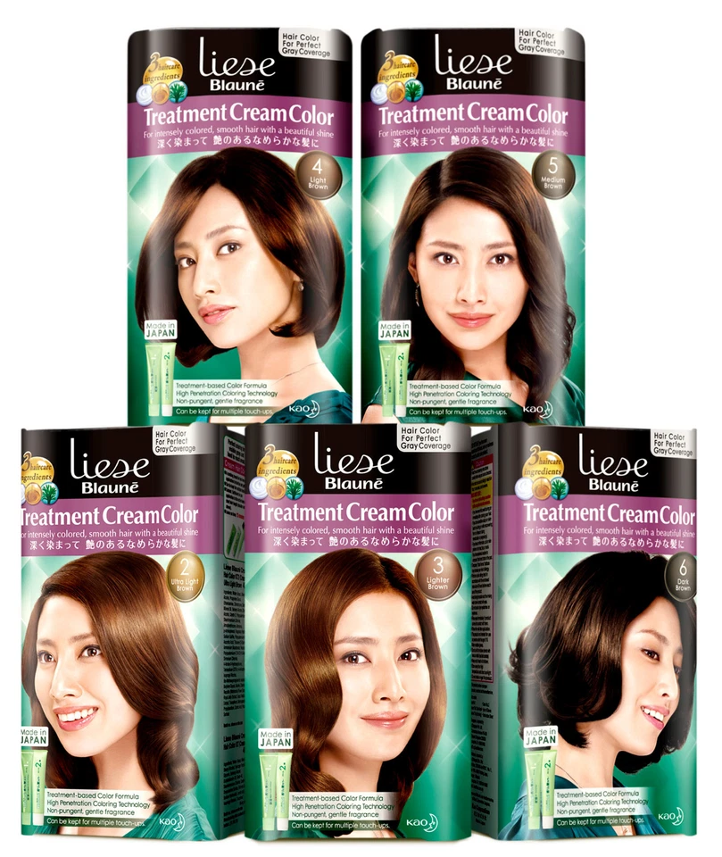 [LIESE BLAUNE] Kao Japan Treatment Cream Color GRAY COVERAGE Hair Dye Kit NEW - Image 1 of 1