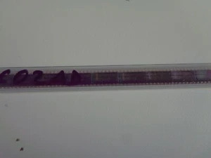 Texas Instruments SN74LVC02AD NOR Gate IC 4 Channel 14-SOIC (25PC) New - Picture 1 of 1