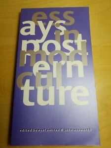 Essays in Postmodern Culture edited by Eyal Amiran - Picture 1 of 11