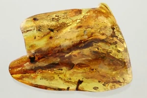3 INSETTI & ENHYDRO Pezzo Pietra Solida AMBRA BALTICA Verdastra 86g 230122-1 - Foto 1 di 8