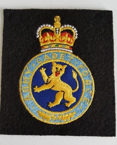 Insignia Blazer Bordada Máquina de Seda, Fuerza Cadete del Ejército - Imagen 1 de 3