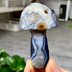 67G Natural Gobi Thousand Eyed Agate mushroom Shape Reiki Chakra Healing - Picture 1 of 20