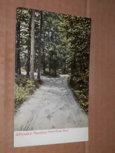 ADIRONDACK MOUNTAINS NY - 1901-1907 ERA POSTCARD - FOREST HOME ROAD - SARANAC - Picture 1 of 2