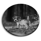 Round MDF Magnets - BW - Jack Russell Terrier Puppy Dog #36675