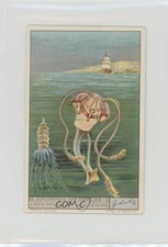 1930s Liebig The Beauty of Jellyfish Dutch De Schoonheid der Kwallen #6 0y5