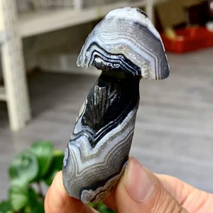 67G Natural Gobi Thousand Eyed Agate mushroom Shape Reiki Chakra Healing - Picture 1 of 21