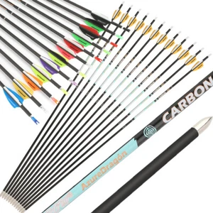 32" Pure Carbon Arrows 24T SP300-1000 ID4.2mm Recurve Bow Shooting Hunting 003" - Picture 1 of 34