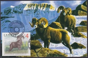 CANADA Sc #3129 MAXICARD con $4 FAUNA SELVATICA CANADESE DI ALTO VALORE - PECORA BIGHORN - Foto 1 di 1