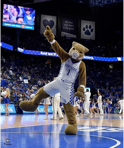 Kentucky Wildcats Unsigned Wildcat Cheering Photograph Cover