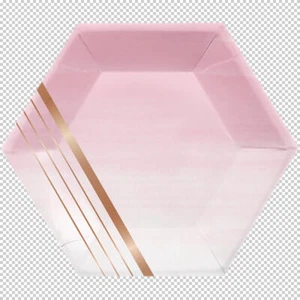 Rose Gold 'Rose All Day' Hexagonal Stripes Lunch Plates Birthday Decorations - Picture 1 of 1