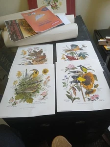 4 Arthur Singer 1971 State Bird Prints Lot ,American Home Magazine - Picture 1 of 19