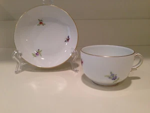 Hochst Hand-Painted Porcelain Insects & Flowers Cup/Saucer D Made In Germany New - Picture 1 of 12