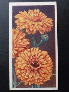 No.26 MARIGOLDS - Annuals by Godfrey Phillips 1939 - Picture 1 of 1