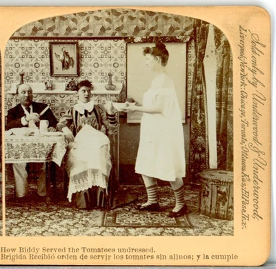 Комиксы, How Biddy Served The Tomatoes Undress-Underwood Stereoview B38 - Изображение 1 из 4