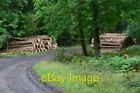 Photo 6x4 Timber stacks beside track in Bentley Wood 2 c2013