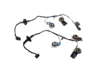 适用于 1996 - 1999 年雪佛兰 Express 1500 尾灯线束 Dorman 72238FQYS 1998 — 第 1/2 张图片