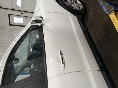 Conjunto de puerta delantera derecha usado se adapta a: Hyundai Santa fe 2010 delantero derecho Gra Foto 1 de 4