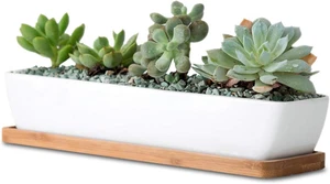 11Inch Long Rectangle White Ceramic Succulent Planter Pots/Mini Flower Plant Con - Picture 1 of 12