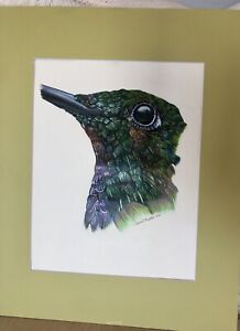 Colored Pencil Hand Drawn Matted Humming Bird 2021