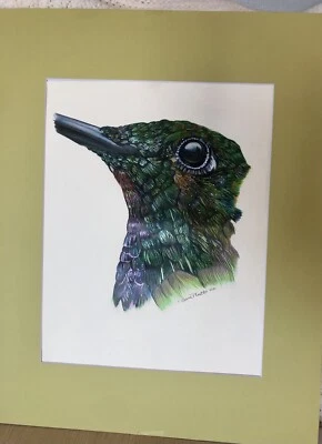 Lápiz de colores dibujado a mano colibrí mate 2021 Foto 1 de 4