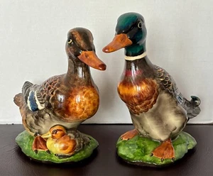 Gort Bone China Mallard Duck Coppia 66B/67B - Bellissime! - Foto 1 di 19