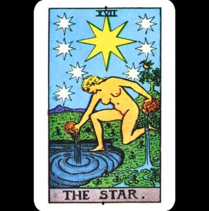 Carta del Tarot Letrero de Metal 8x12 Estrella Waite Smith Mazo Mujer Verter Agua Piscina Suelo - Imagen 1 de 2