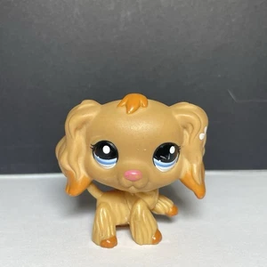 LPS Cocker Spaniel #1716 Blue Dot Eye Flower Authentic - Picture 1 of 7