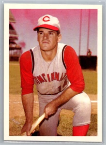 1985 Renata Galasso Pete Rose 64 Cincinnati Reds Pete Rose - Picture 1 of 2
