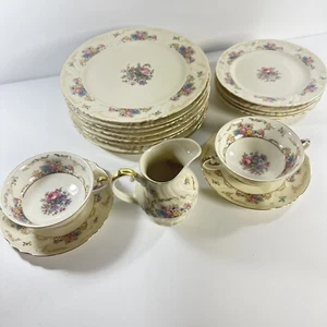 THOMAS IVORY BAVARIA GERMANY US ZONE Wild Rose Vintage Set Very Rare 1946 1949 - Imagen 1 de 24
