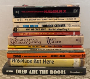 Black African American Studies History Book Lot (20) James Baldwin Audre Lorde - Picture 1 of 6