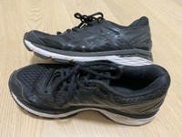 nike zoom fly carbon