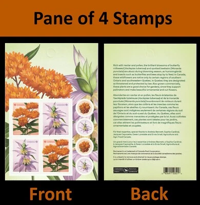 Panel Canada Wildflowers 4 MNH 2023 Foto 1 de 3