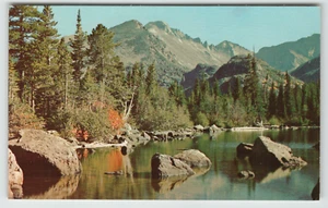 Postcard Scenic View Longs Peak and Bear Lake in Colorado - Picture 1 of 2