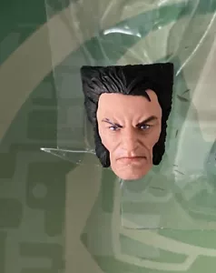 Marvel Legends Angry Head V2 Only Fodder 6 Inch 85th Anniversary Wolverine 2024 - Picture 1 of 5