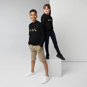 Youth dinosaur crewneck sweatshirt - Picture 1 of 8
