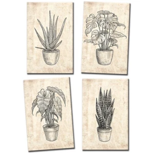 Botanical Illustration Monstera Floral MULTI CANVAS WALL ART Picture Print - Picture 1 of 1