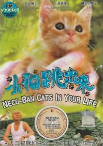 Neco-Ban: Cats in Your Life (2011) Japanese Movie English Sub _ DVD All Region - Foto 1 di 2