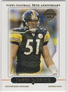 Juego de equipo Topps Football Pittsburgh Steelers 2005 - Imagen 1 de 1
