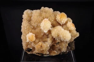 Thomsonite Inde 8.4x7.2x3.6cm 181g - Picture 1 of 10