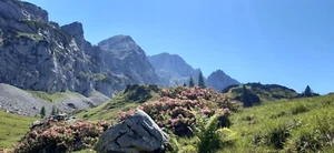 Wanderurlaub Österreich - Bild 1 von 1