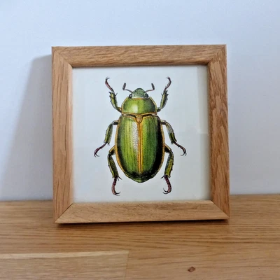 Beetle Print Framed Artwork by The Dybdahl Co. Denmark, Insect Themed Picture - Image 1 of 4