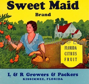 Florida Fruit Crate Label Fine Art Print, Grove, approx 10.8" x 11.4" 12880 - Picture 1 of 1