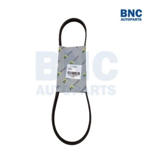 V-Ribbed Drive Belt for LAND ROVER RANGE ROVER from 1989 to 2002 - MQ - Picture 1 of 1