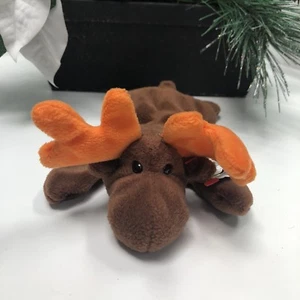Rare Ty Beanie Baby Chocolate The Moose - Picture 1 of 7