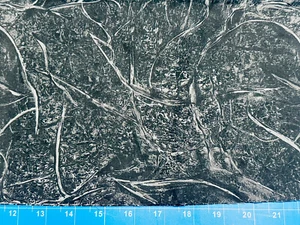 Tina Scrap 9"x21" Tree Branches CAMO Camouflage Hunting Black Cotton Fabric - Picture 1 of 1