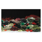 Adhesive Wallpaper Easy to Clean Fishtank Background Aquarium