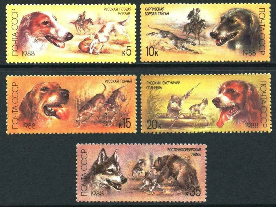 Russia, #5667-71 Hunting Dogs 1988 full set, 5 stamps, MNH - Image 1 of 1
