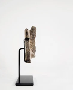 Trilobite Crotalocephalus Gibbus Fossil on Bronzed Upstand. - Picture 1 of 8