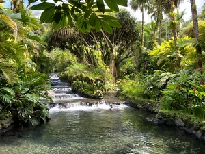 Auswandern? Dann jetzt nach Costa Rica! Einmaliges Angebot! - Bild 1 von 8