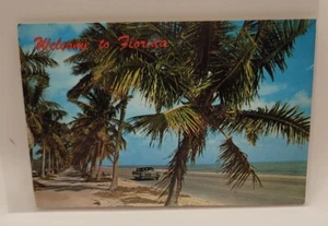Willkommen in Florida Palmen Oldtimer Postkarte - Bild 1 von 3